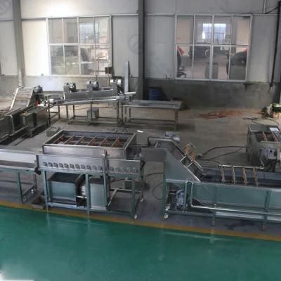 Lemon Orange Apple Washer Cutting Processing Line with CE Certification