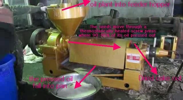 11 Tpd Top Quality Peanut Oil Press Machine