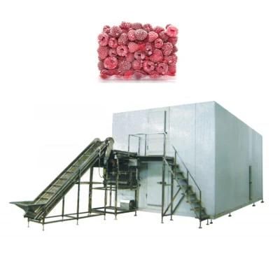 500kg/H IQF Freezer for Vegetable Quick Freezing IQF Machine Price