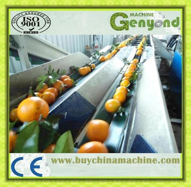 Orange Washing Waxing Sorting Machine Line