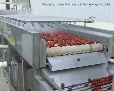 Jujube Sauce/Jujube Paste Production Line/Processing Line