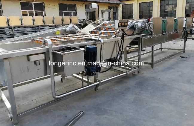 Automatic Tomato Potato Dates Cleaning Drying Fruit and Vegetable Washing Machine