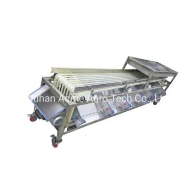 Fruit Apple Sorting Tomato Walnut Dates Grading Machine