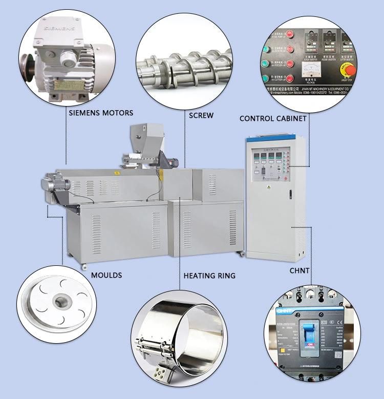 Professional Twin Screw Extruder Production Line Artificial Rice Making Machine Fortified Rice Machine