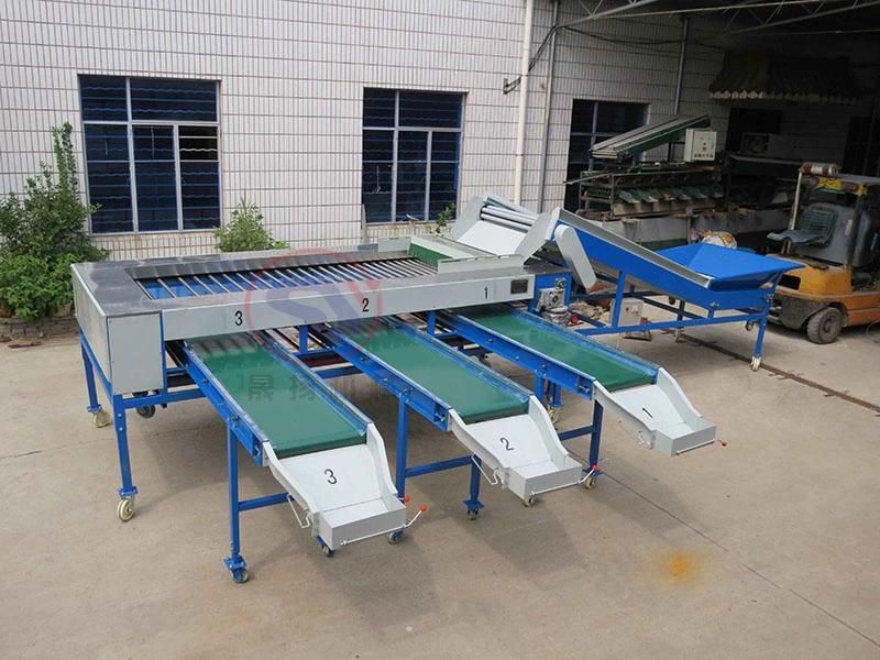 Fruit&Vegetable Washing Grading Waxing Machine Production Line