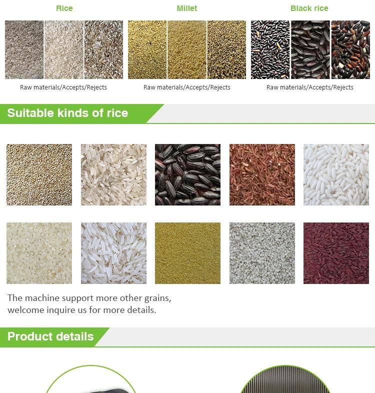 Rice Colour Sorter Machine Color Sorting Machinery to Process Rice Seeds