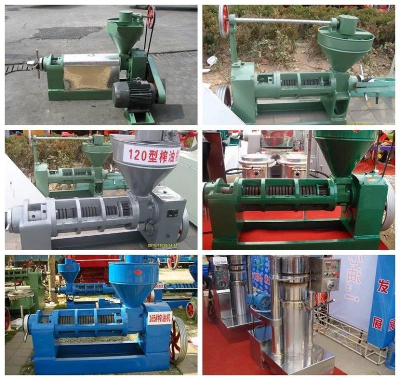 200 kg/h Efficient sunflower seeds screw oil press