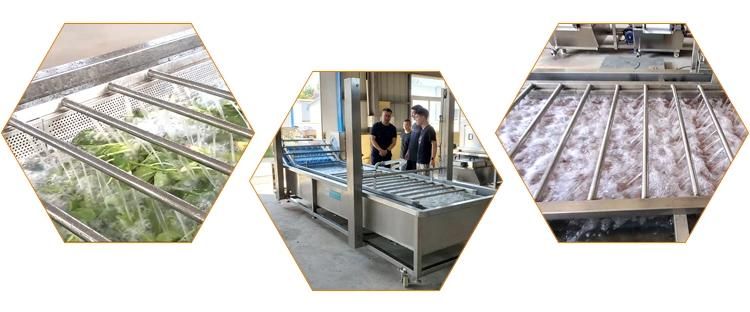 Seafood and Fish Bubble Washing Cleaning Equipment Machine