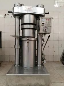 17kgs Automatic Oil Extraction Machine for Cocoa Beans