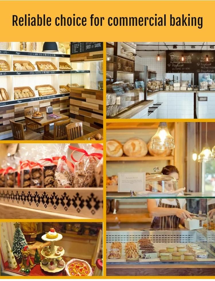 Bread Pizza 25kg Dough Mixer with Different Capacity