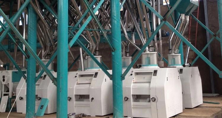 Flour Mill Machine 45t 40t Wheat Flour in Ethiopia