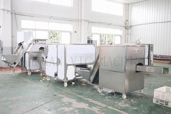 2500 kg/h Stainless Steel Onion Peeler Onion Peeling Machine