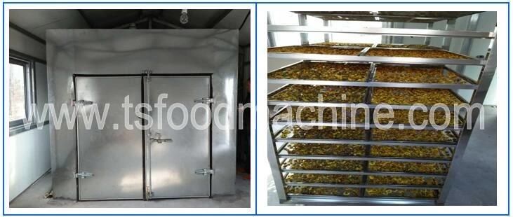 Continuous Conveying Belt Fruit Dryer and Lemon Apple Orange Drying Machine