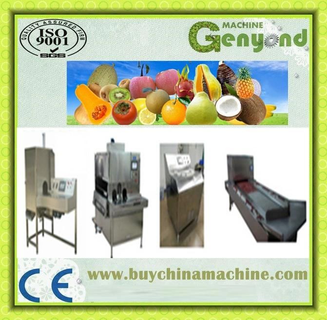 Fruit Peeling Machine Slicing Machine Remove Core Machine