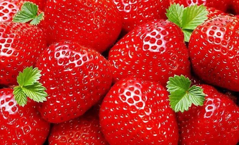 Full Stainless Steel Strawberry Jam Pulping Machine