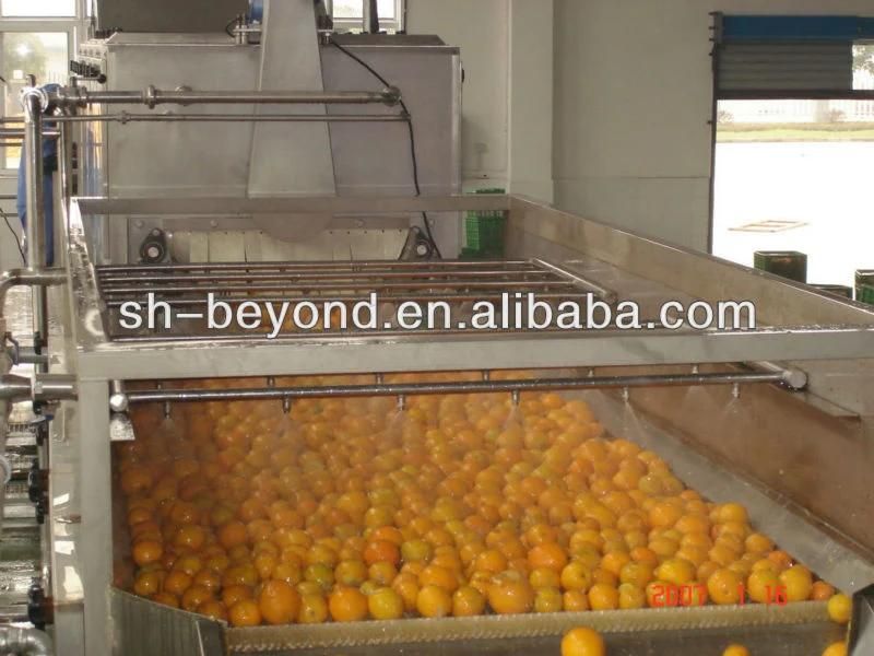 5t/H Natural Orange Juice Production Line