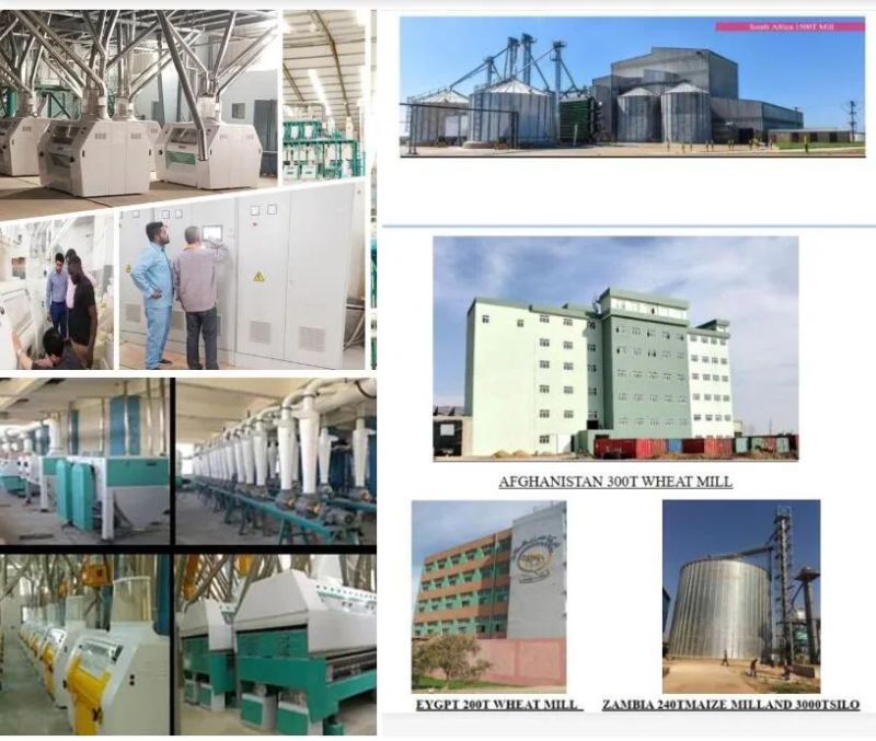 Ethiopia 120t/D Wheat Flour Mill Machine with Factory Price and Durable Quality