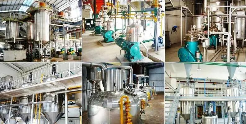 Edible Sunflower Seed Soybean Flax Cottonseed Peanut Vegetable Oil Making Press Refining Refinery