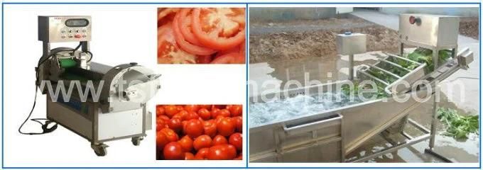 Carrot Processing Equipment Carrot Washing Cutting Machine