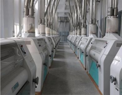 Ethiopia European Standard Maize Wheat Flour Mill Machine