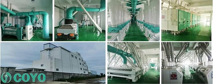 Flour Mill Machine Wheat Processing Plan Line with Automatic Control System