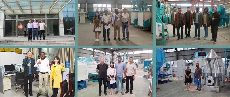 20-50 Ton/Day Parboiled Rice Milling Machine Auto Complete Rice Production Line