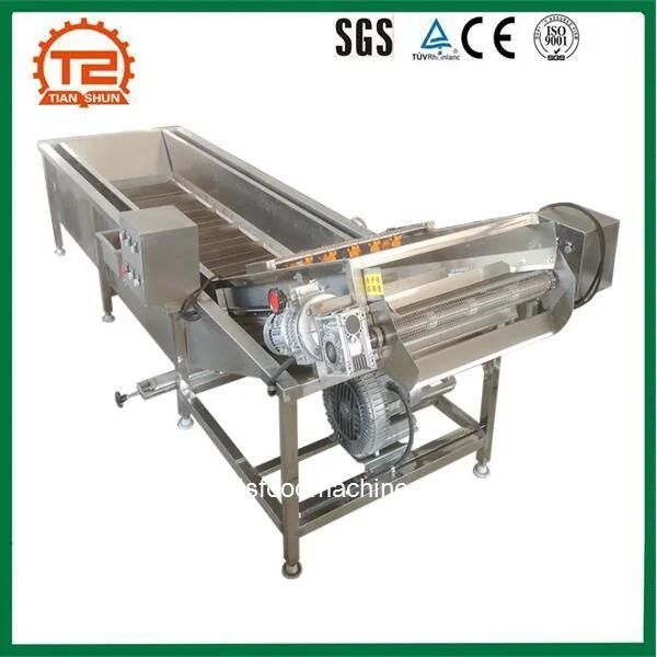 Fruit Processing Equipment Raisins Bubble Ozone Cleaning Washer Machine for Sale