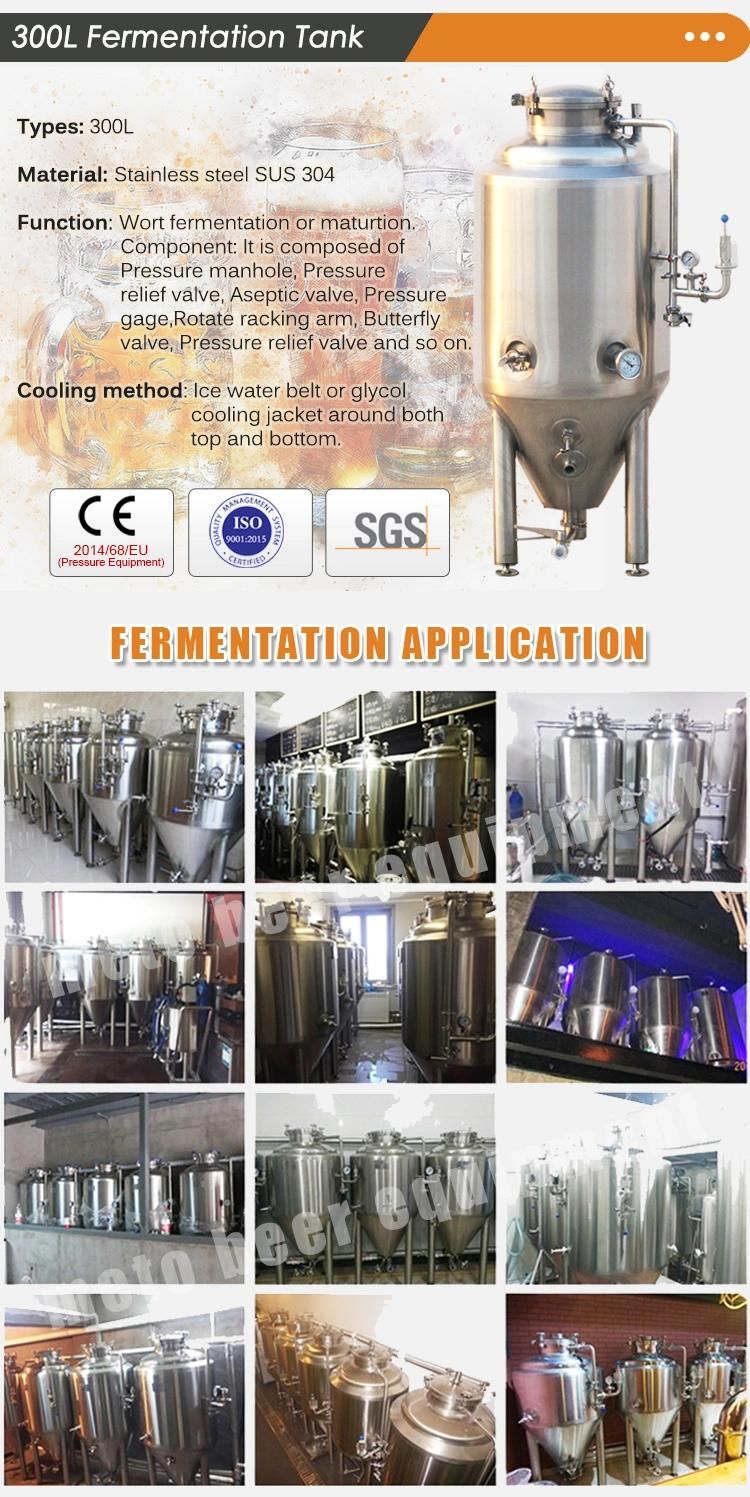 100L 200L 300L Stainless Steel Home Brew Conical Fermenter