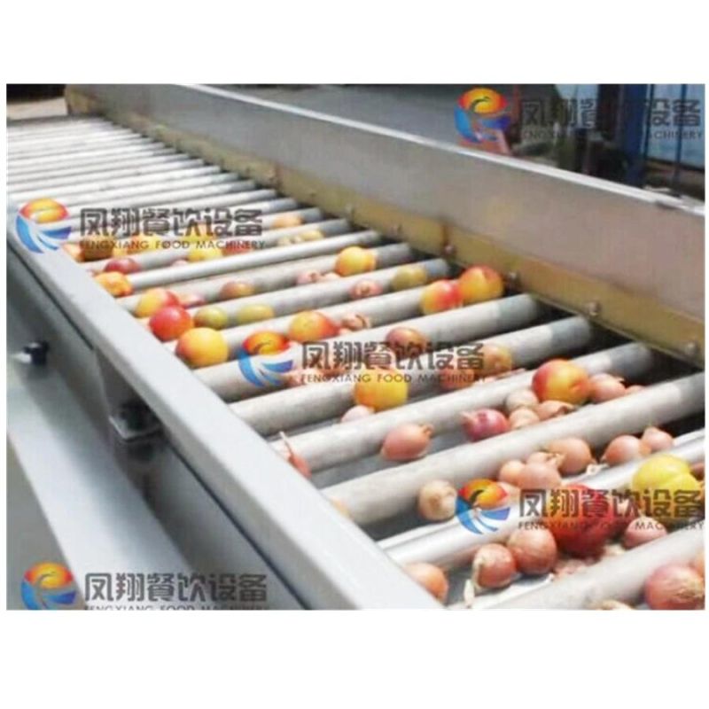 5 Grades Onion Potato Sorting Machine, Fruit Plum Grader Machine