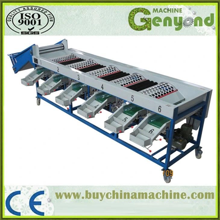 Stainless Steel Shallot Size Sorting Grading Machine