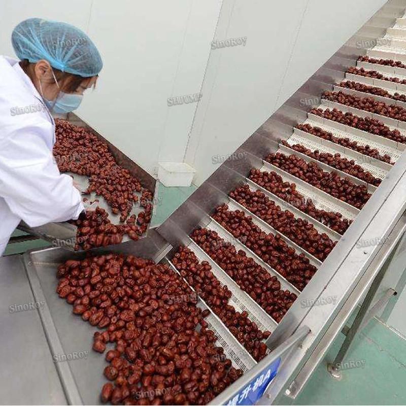 20-200kg Per Hour Red Dates Juice Red Dates Paste Processing Line