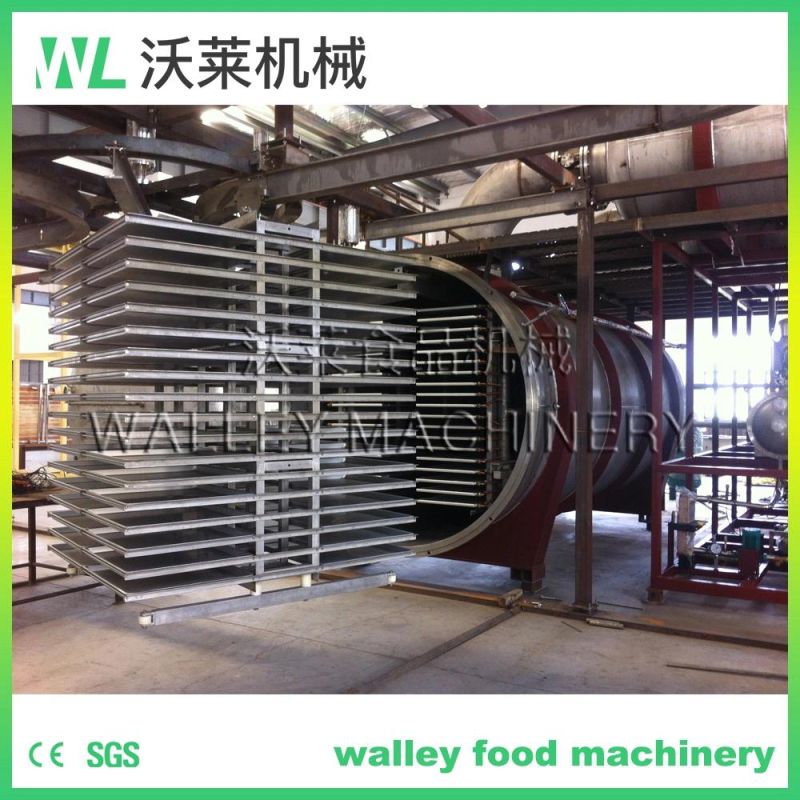 China Fruit Vacuum Freeze Dryer Machine Lyophilizer Food Freeze Dryer