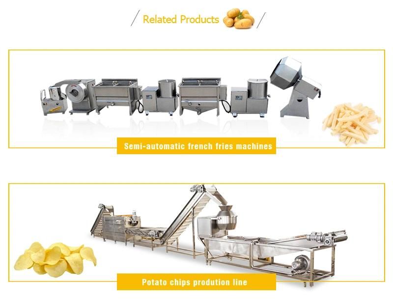 100kg-2000kg/H French Fries Frozen Machine China Supplier