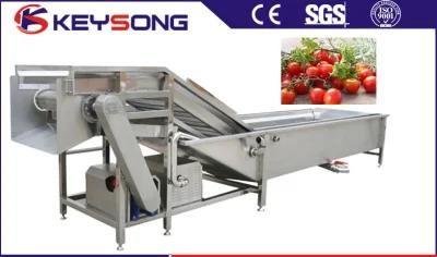 Stainless Steel 304 Fruit &amp; Vegetable Bubble Washing Machine