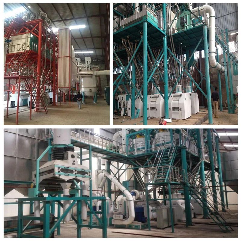 Complete Plant Maize Corn Flour Milling Mill