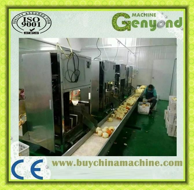 Fruit Vegetable Peeling Machine for Sale