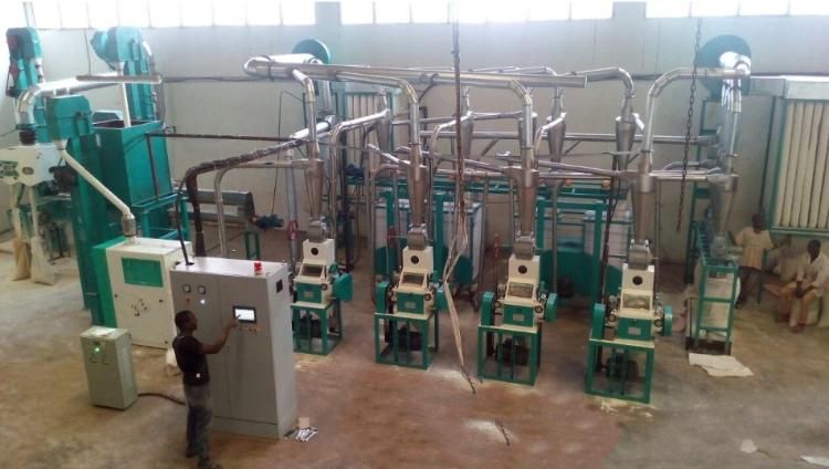 30t Per 24hour Corn Flour Processing Machinery Maize Milling Plant