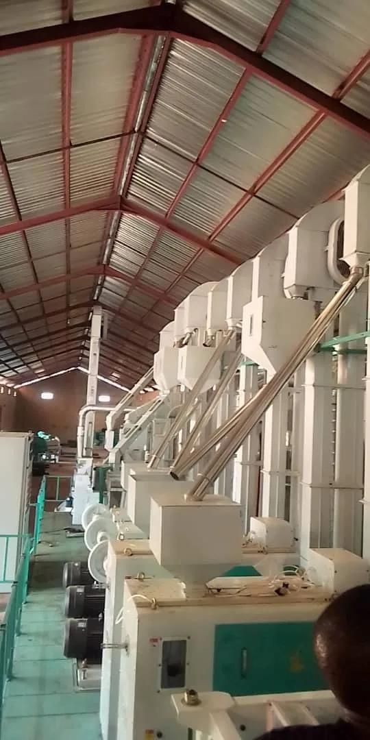 50-120 Tons Per Day Turnkey Complete Set Rice Milling Processing Machine for Rice Plant