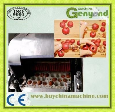 Olive Fruit Seed Remove Machine