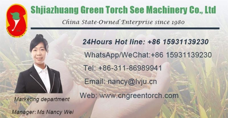 All Kinds of Beans Cleaning and Grading Machine on Sale