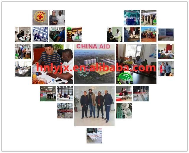 After-Sales Service Provided 120tpd Rice Milling Machine