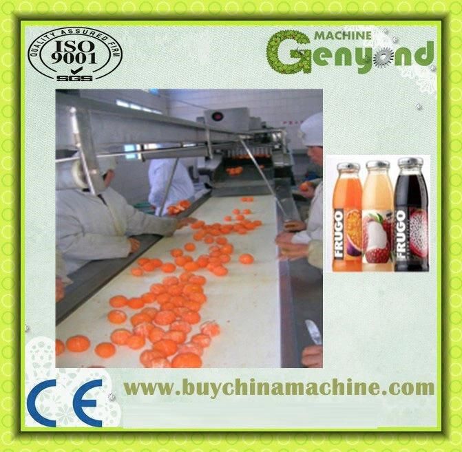 Juice Production Line Extractor Juicer Sterilizer Filling and Packing