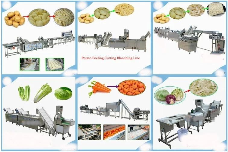 Good Quality Fruit and Vegetable Blancher Machine Potato Fries Blanching Machine