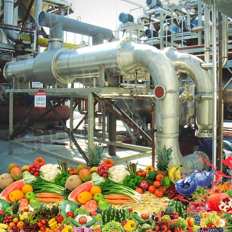 Banana Paste Processing Line/Banana Juice Processing Line/Banana Processing Machines