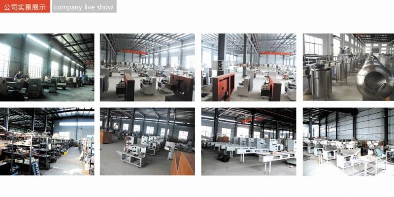 Fld-Rainbow Lollipop Production Line, Candy Machine, Candy Machine Line