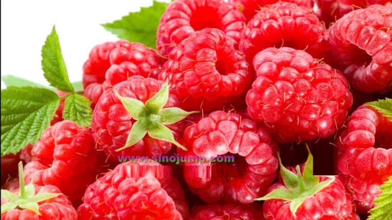 a Raspberry Puree/Paste Processing Turnkey Solution