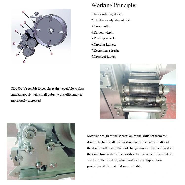 Ce Certificated 2t/H Vegetable Dicer Potato Cutting Machine