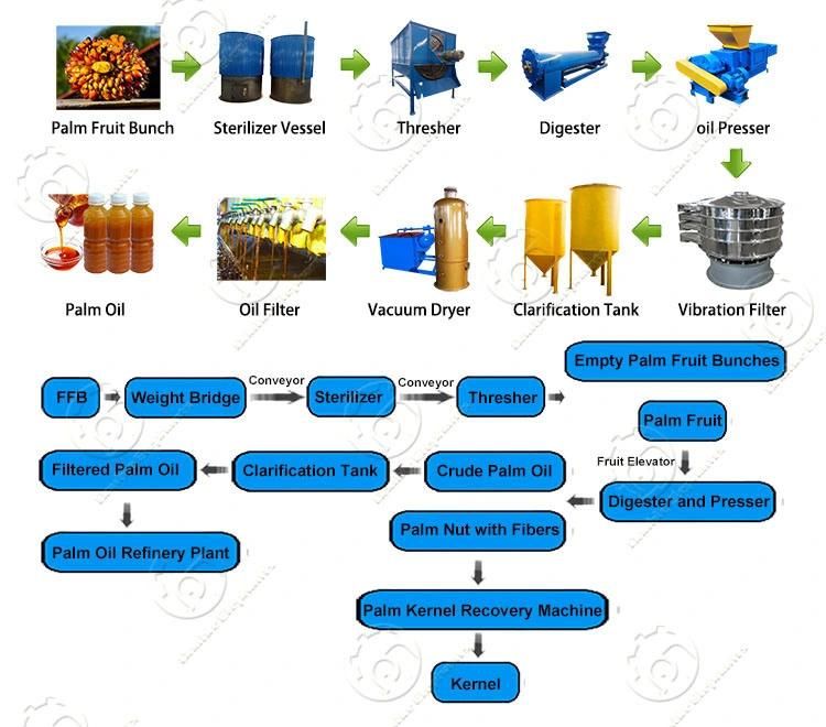 1-5t/H Small Scale Africa Palm Oil Extractor Machine, Palm Oil Processing Machine, Palm Oil Mill Press Machine