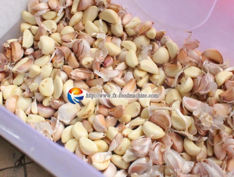 Fx-139 Automatic Stainless Steel Garlic Separating Machine, Garlic Processing Machine