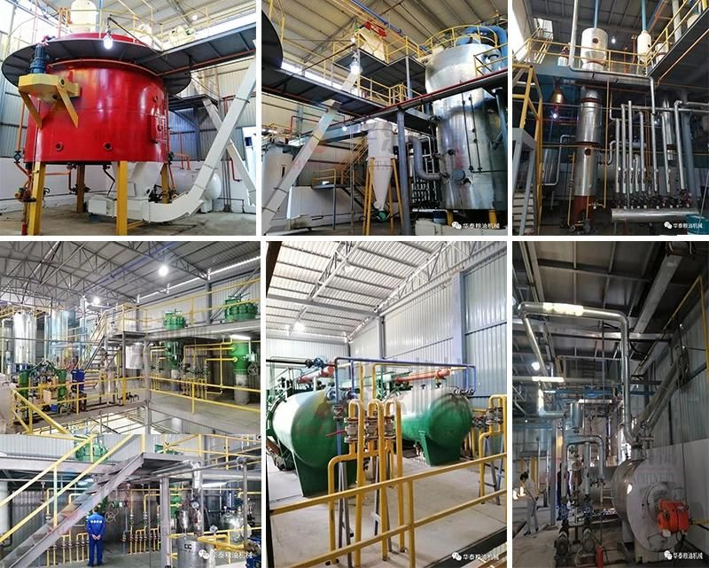 Rice Husk Oil Extract Press Machine Advantage Technology Ce ISO